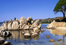 雷火电竞APP-英超锋刃出鞘！葡萄牙绝境逢生，C罗任意球绝杀书写关键一胜！