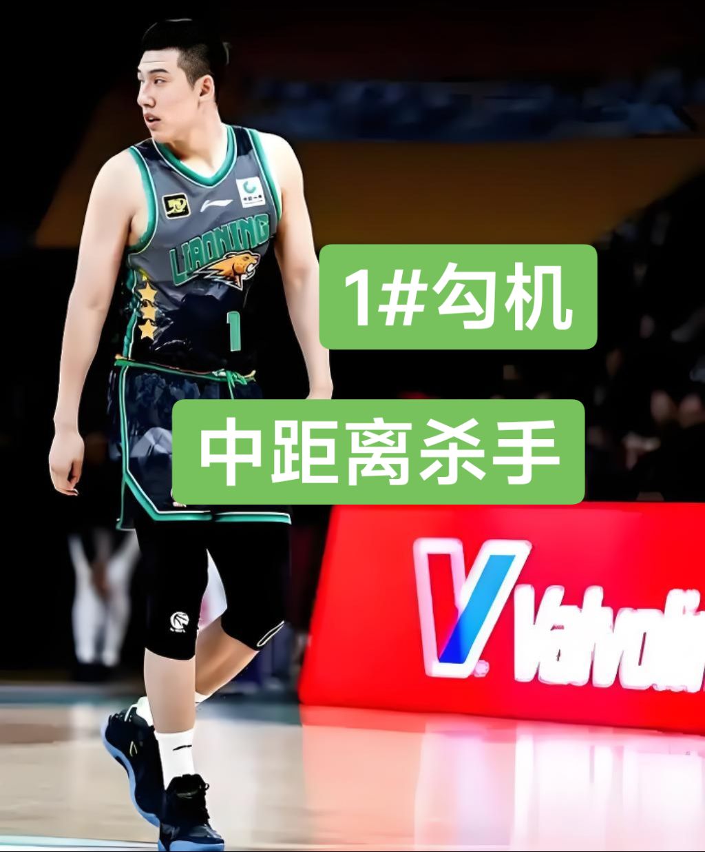 雷火电竞合作-关于步行者逆转深圳队，赵继伟扛起全队的信息