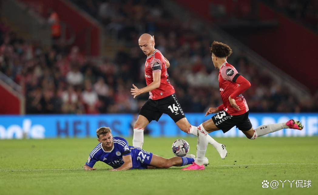 雷火电竞-南安普顿城队在比赛中展示强大实力