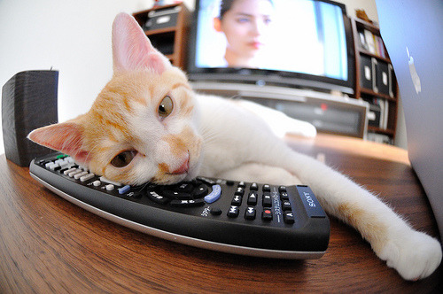 雷火电竞网站-1.当明尼苏达的风雪席卷丹佛高原，恩比德降临，助森林狼跨越巅峰掘金