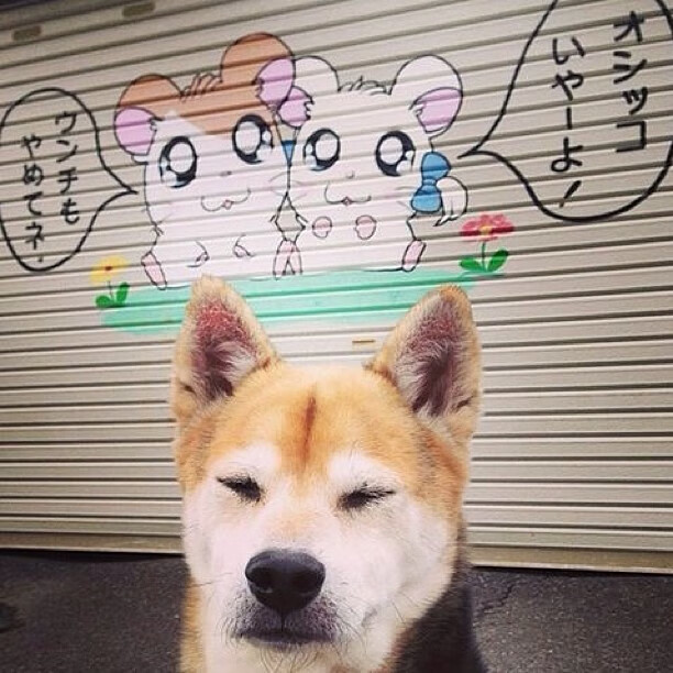 雷火电竞网站-赛道与绿茵的交响，F1街道赛焦点战与尼日利亚淘汰赛逆袭那不勒斯