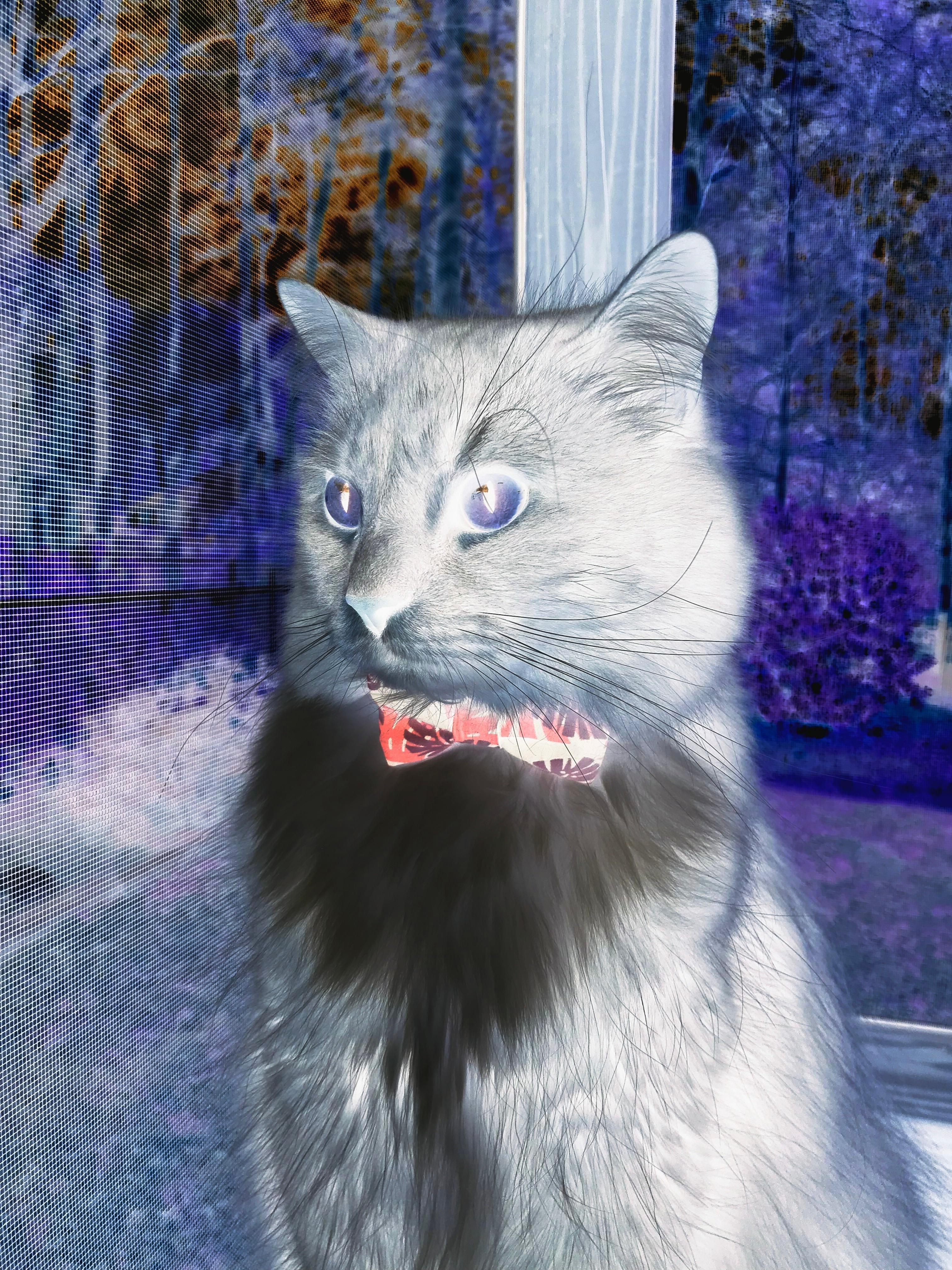 雷火电竞网站-改写命运，卡塞米罗终场绝杀，助力秘鲁在尼斯之夜强势晋级