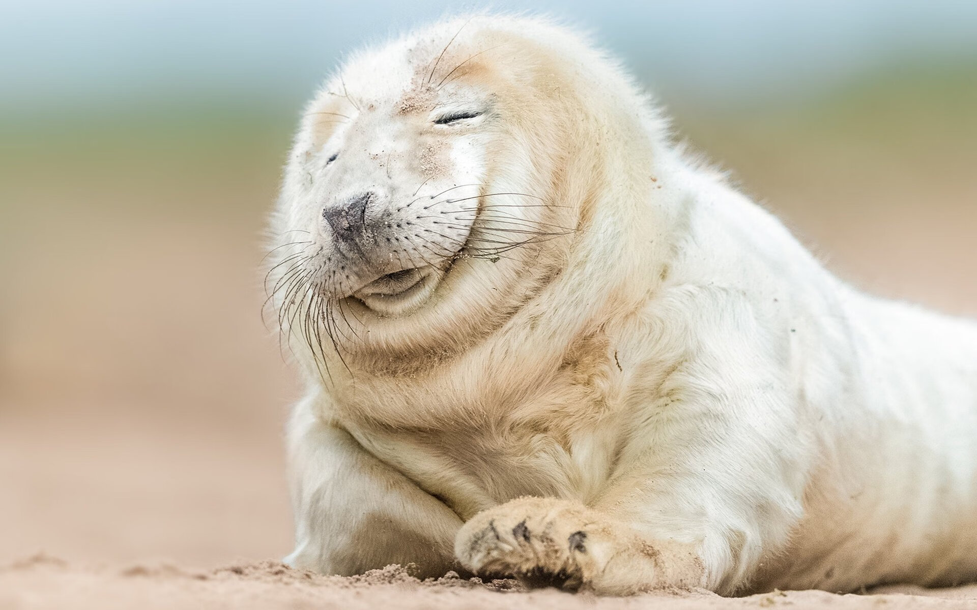 夕阳与新星,当三巨头余晖散去,塔图姆的时代已然破晓
