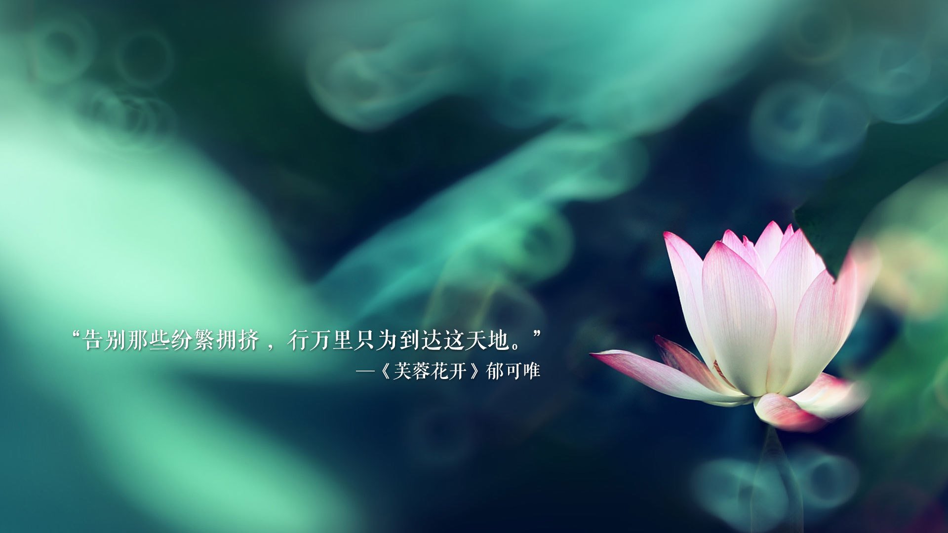 雷火电竞-2026世界杯E组风云，瑞士铁骑碾压乌兹别克，维尼修斯独舞点燃冷门之夜